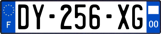 DY-256-XG