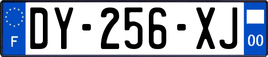 DY-256-XJ