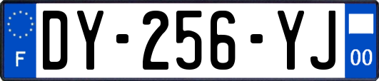 DY-256-YJ