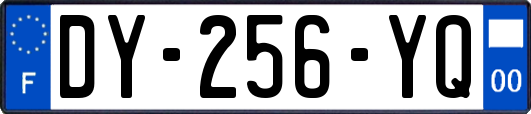 DY-256-YQ