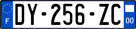 DY-256-ZC