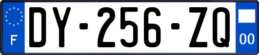 DY-256-ZQ