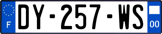 DY-257-WS