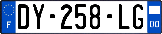 DY-258-LG