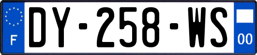 DY-258-WS