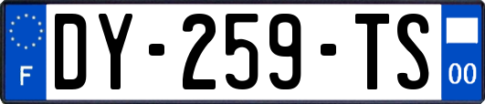 DY-259-TS