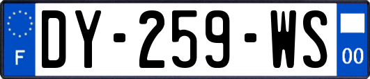 DY-259-WS