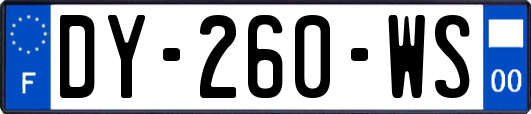 DY-260-WS