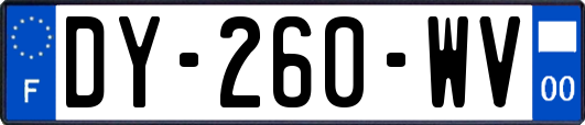 DY-260-WV