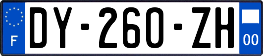 DY-260-ZH