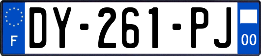 DY-261-PJ