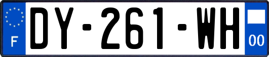 DY-261-WH