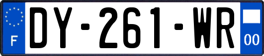 DY-261-WR