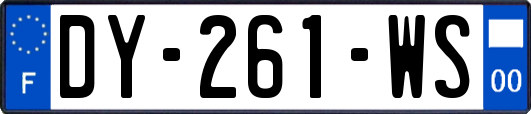 DY-261-WS