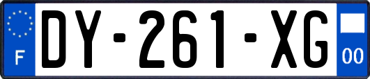 DY-261-XG