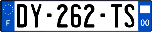 DY-262-TS