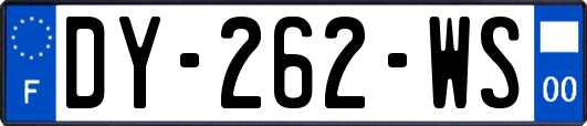 DY-262-WS