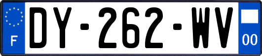 DY-262-WV