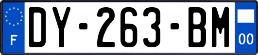DY-263-BM
