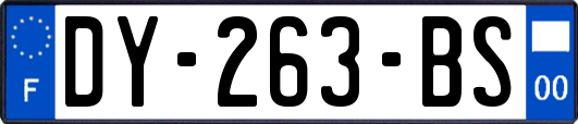 DY-263-BS