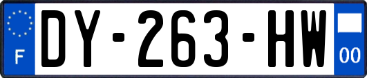 DY-263-HW