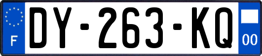 DY-263-KQ