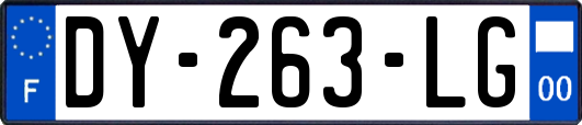 DY-263-LG