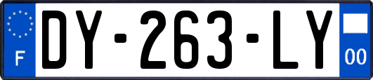 DY-263-LY