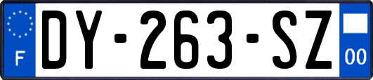 DY-263-SZ