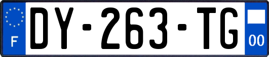 DY-263-TG