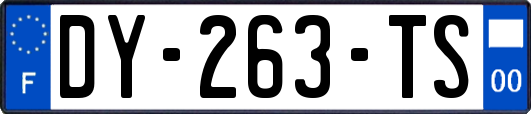 DY-263-TS