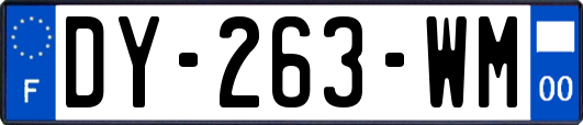 DY-263-WM