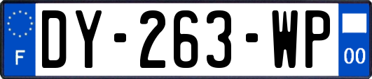 DY-263-WP