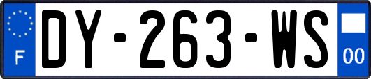 DY-263-WS