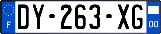 DY-263-XG