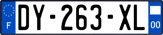 DY-263-XL