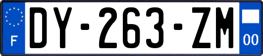 DY-263-ZM