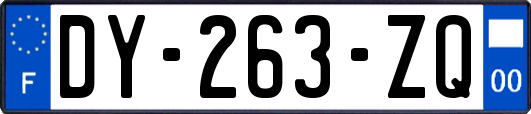 DY-263-ZQ