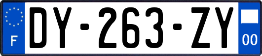 DY-263-ZY
