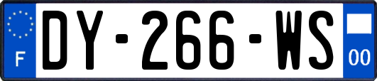 DY-266-WS