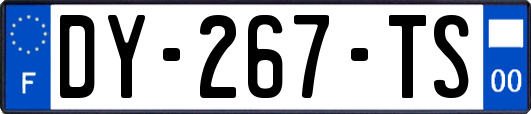 DY-267-TS