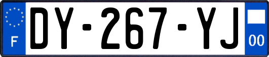 DY-267-YJ