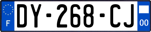 DY-268-CJ