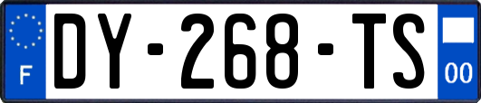 DY-268-TS