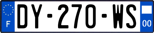 DY-270-WS