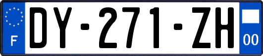 DY-271-ZH