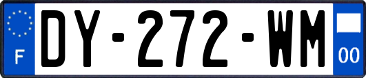 DY-272-WM