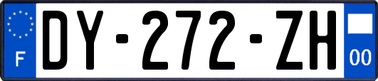 DY-272-ZH