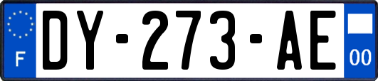 DY-273-AE