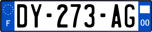 DY-273-AG